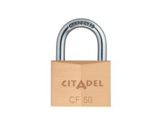 CF 30 C